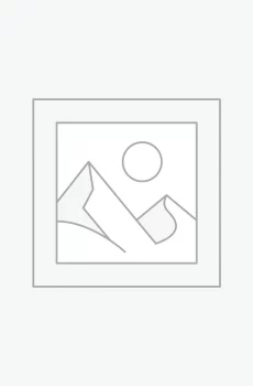 Bingo Night Fundraiser